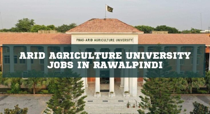 Arid Agriculture University Jobs in Rawalpindi 2024